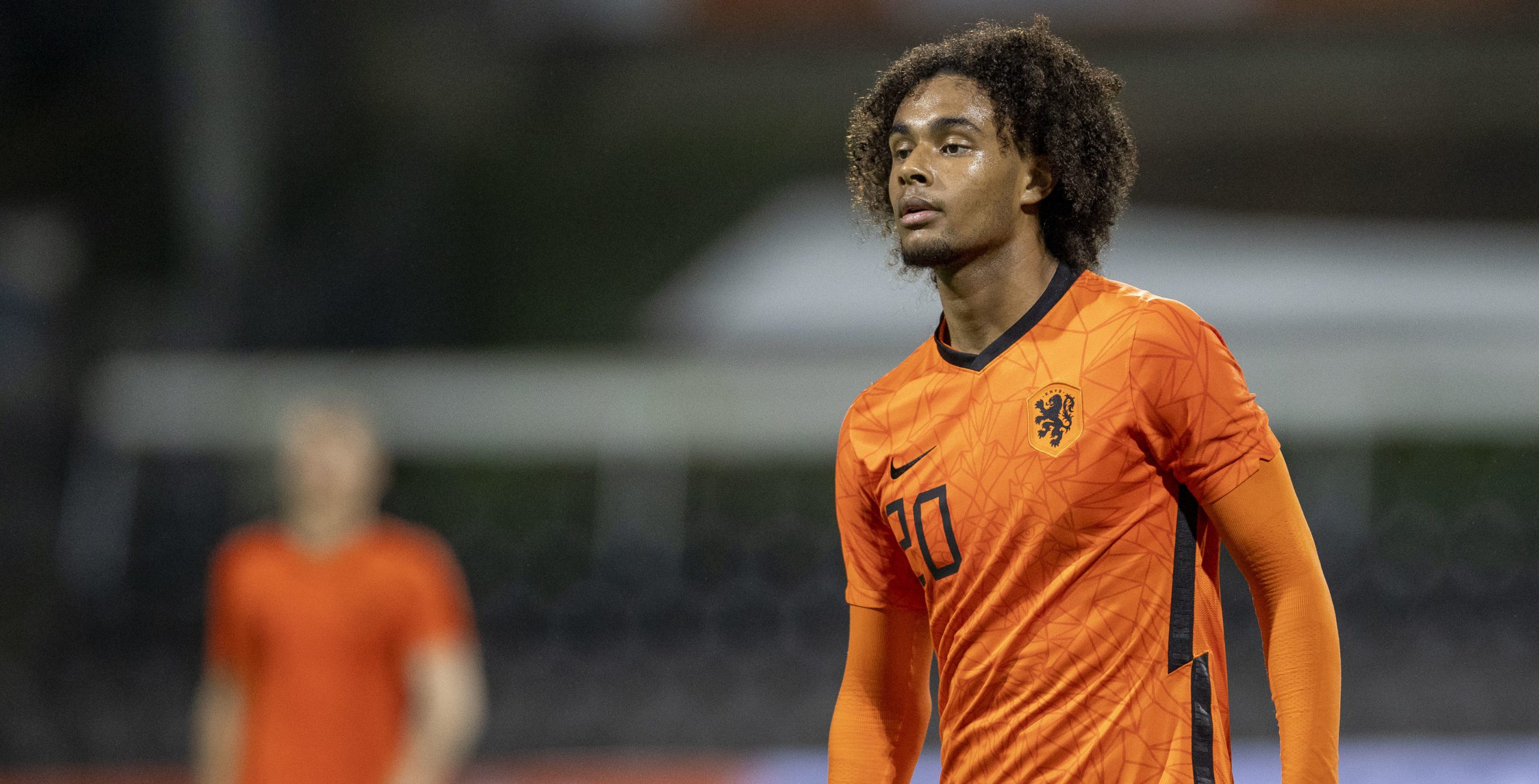 Artikel afbeelding