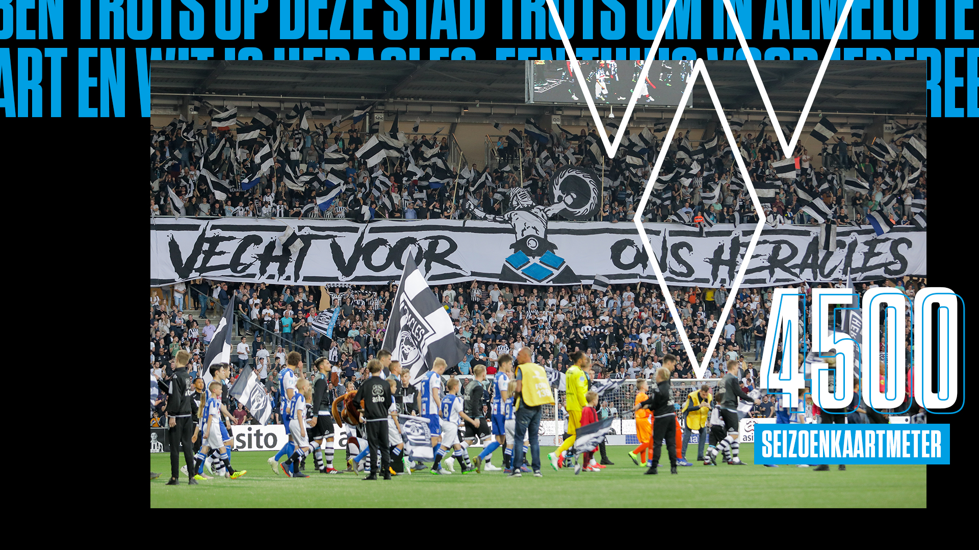 Artikel afbeelding
