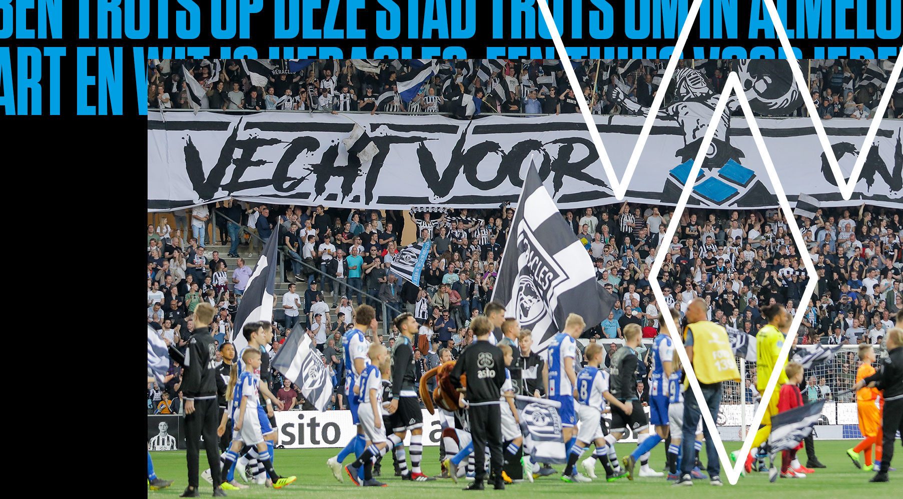 Artikel afbeelding