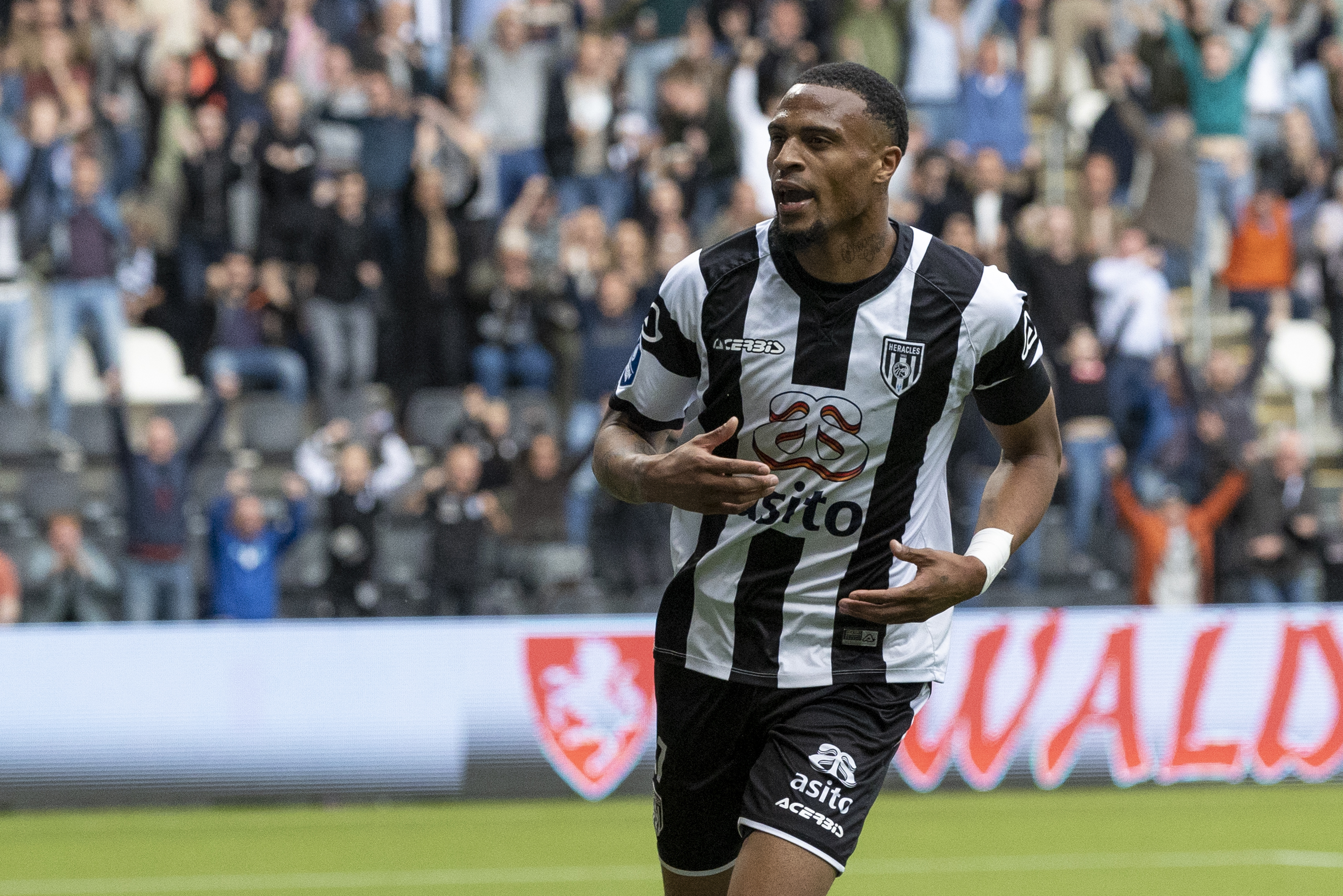 Artikel afbeelding