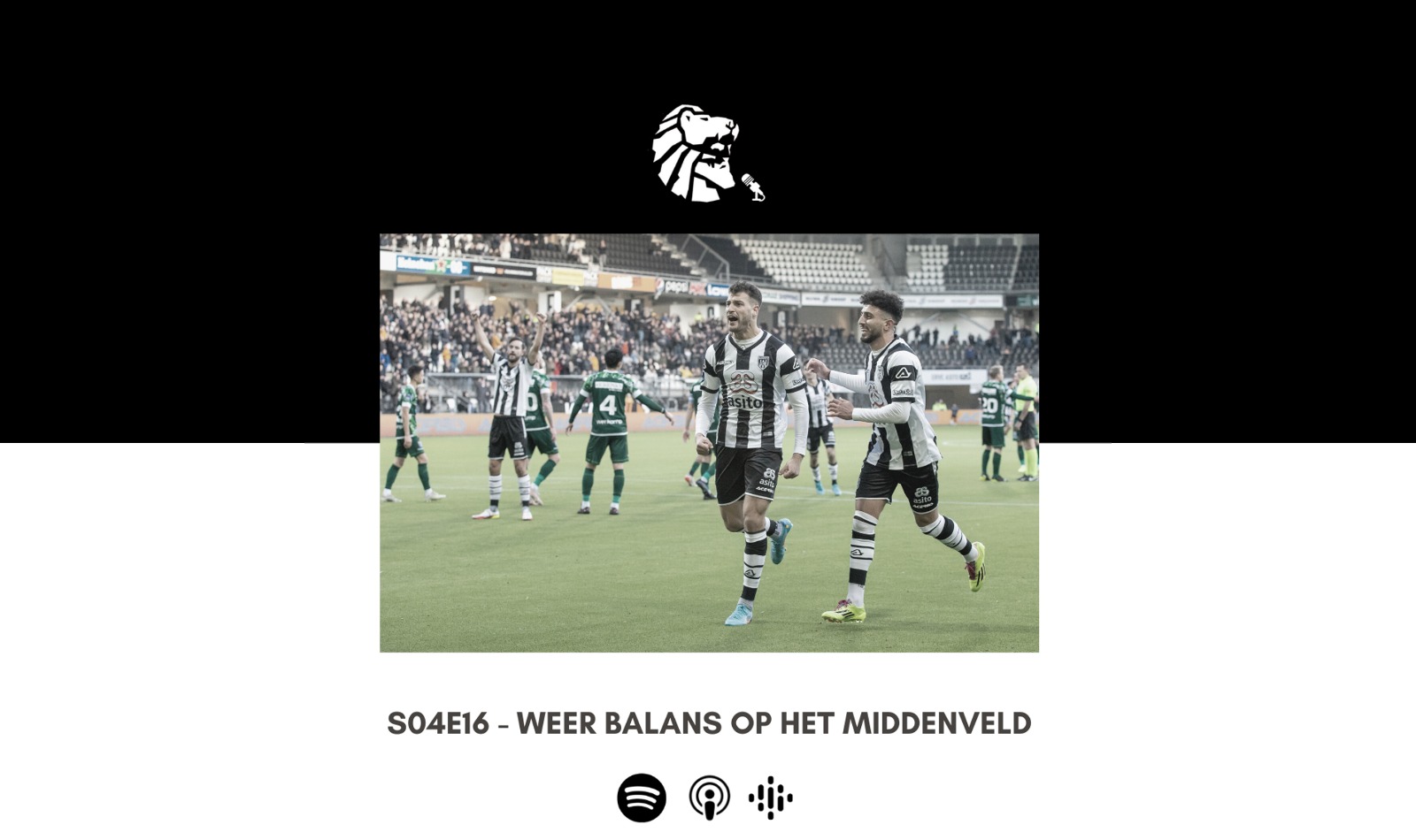 Artikel afbeelding