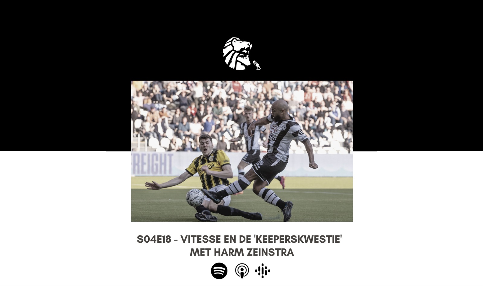 Artikel afbeelding