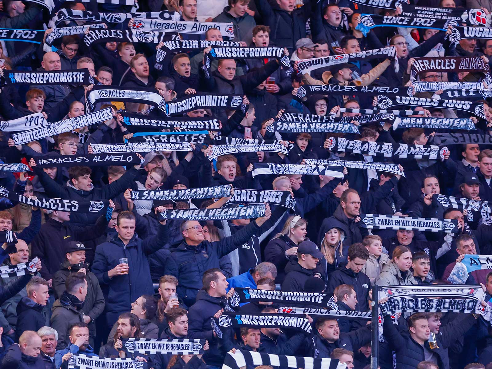 Artikel afbeelding