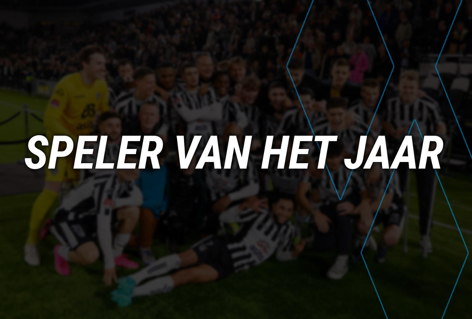 Artikel afbeelding