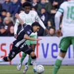 Heracles niet opgewassen tegen sterk Feyenoord