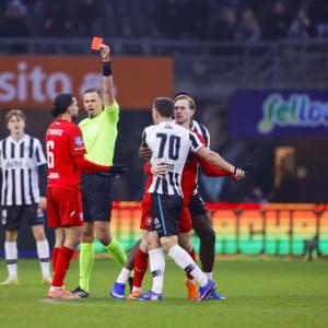Derdy zonder gif is prooi voor de buren